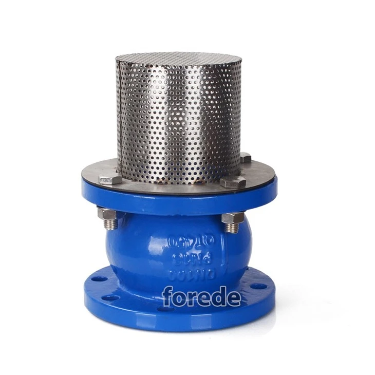 Flange Type End Foot Valve