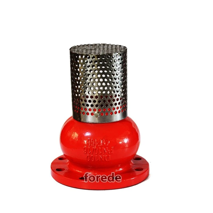 Flange Type End Foot Valve