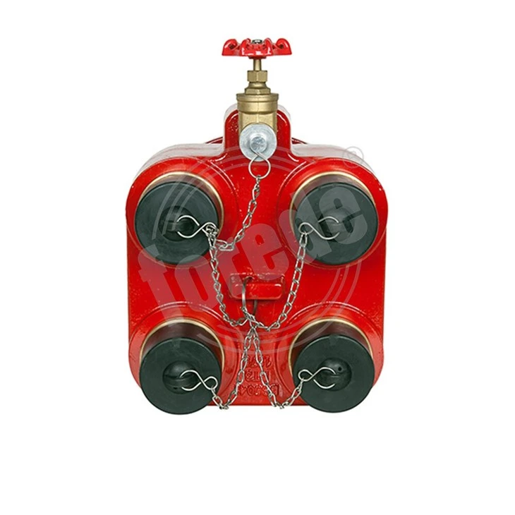 Fire Hydrant Breeching Inlet